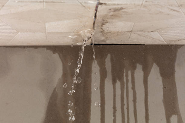 Professional Burst Pipe Cleanup technician working in Allardt, TN